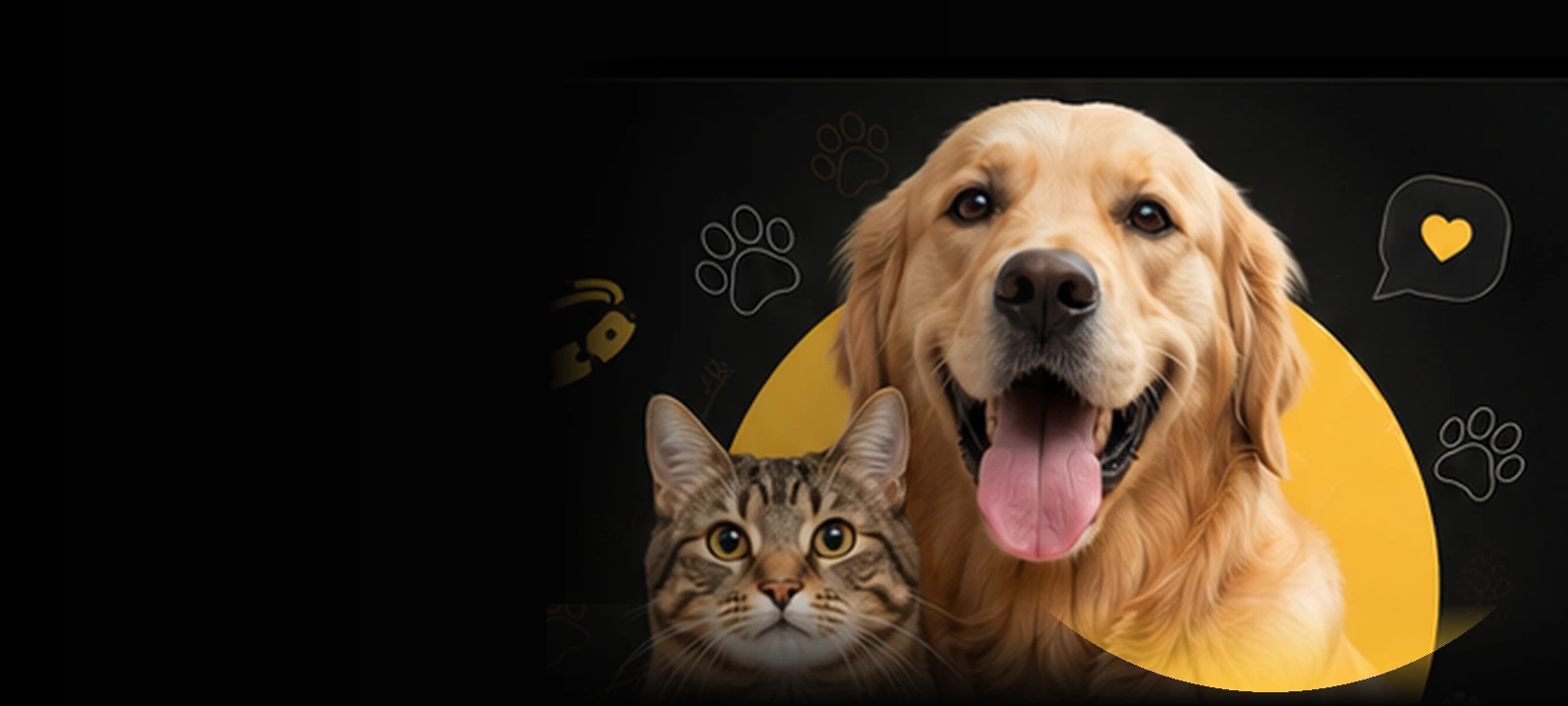 Cachorro e gato representando o universo Coleira Club