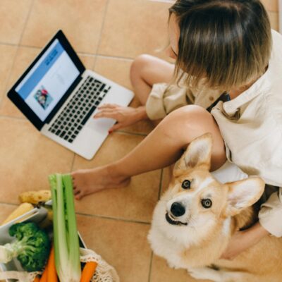 Woman sits with corgi and laptop, surrounded by groceries, browsing online at home.