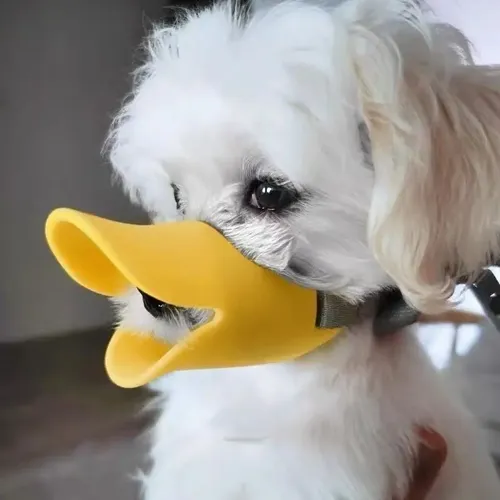 Focinheira Ajustável Bico De Pato Em Silicone Cachorro Cães Tamanho P