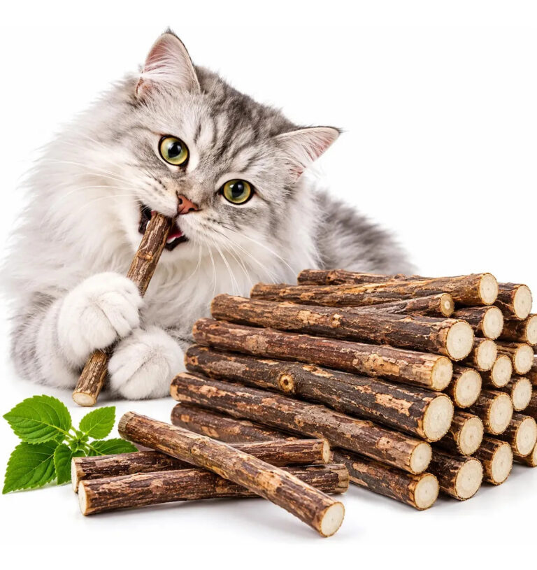 Matatabi Varas Gatos Catnip Limpa Dentes Kit Com 20,30,50un Kit 20 Unid.